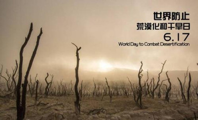 6.17 世界防治荒漠化和干旱日|守护家园，我们共同努力！